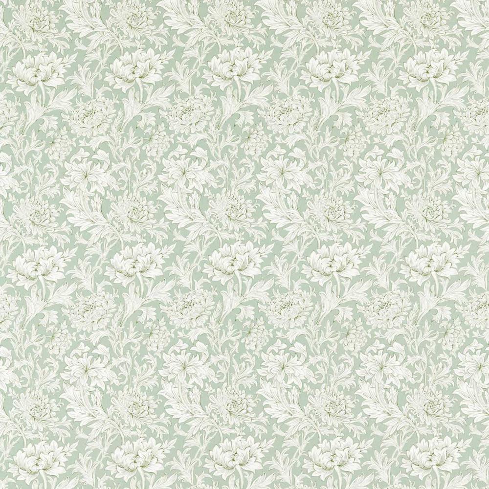 Chrysantemum Toile