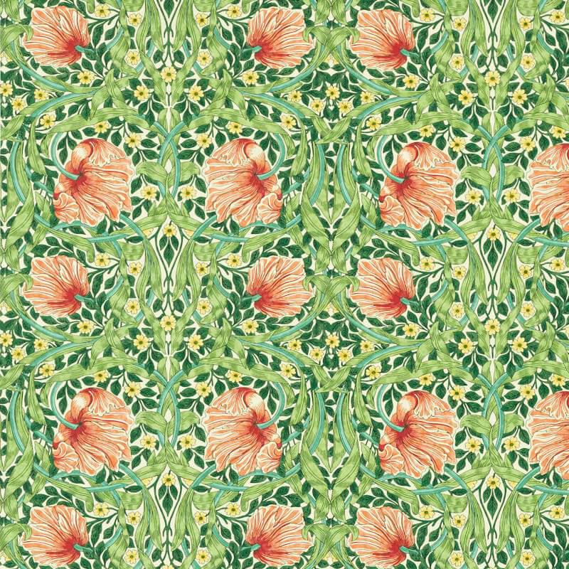 Pimpernel