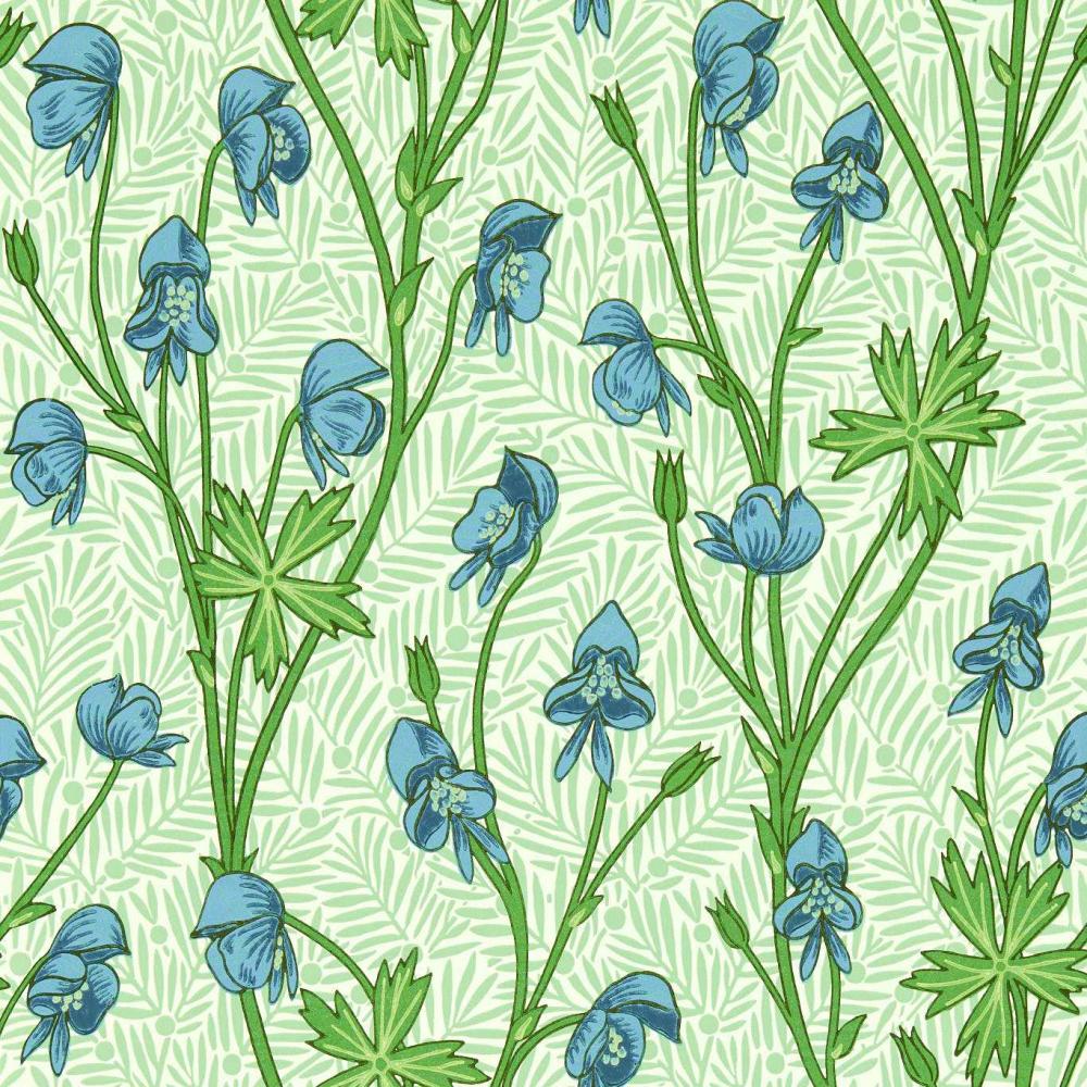 Monkshood