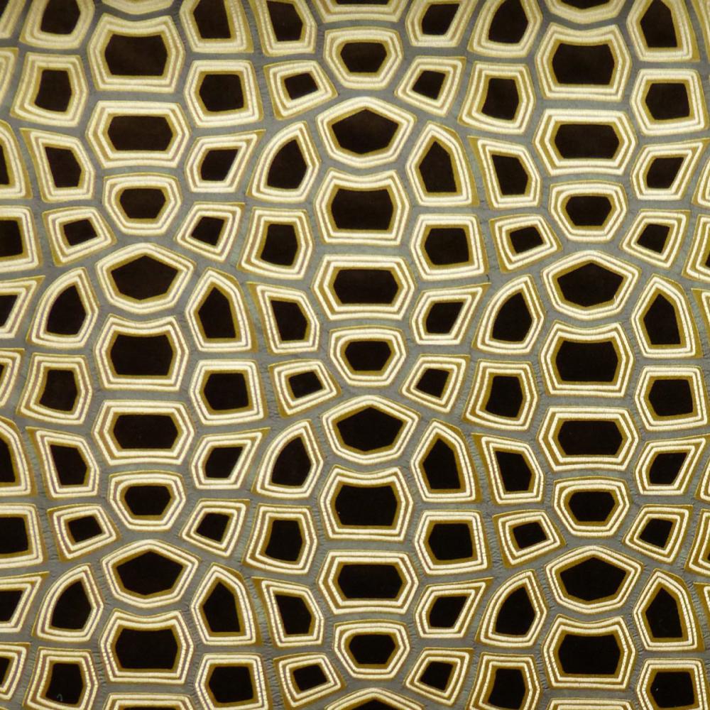 Carapace