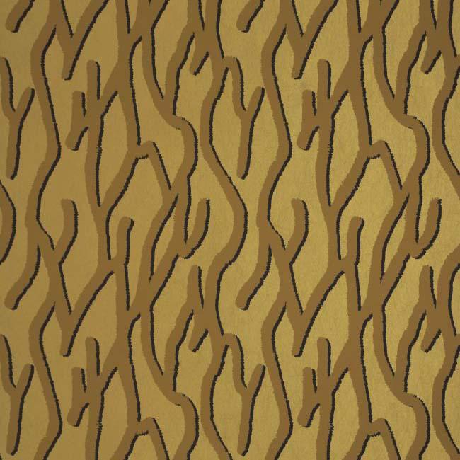 Pacific Coral