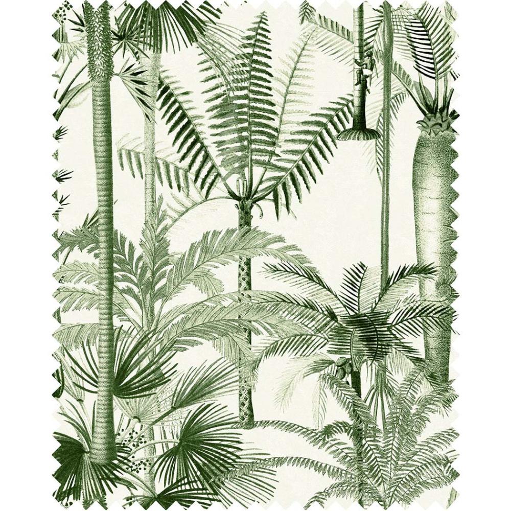 Palmera Cubana