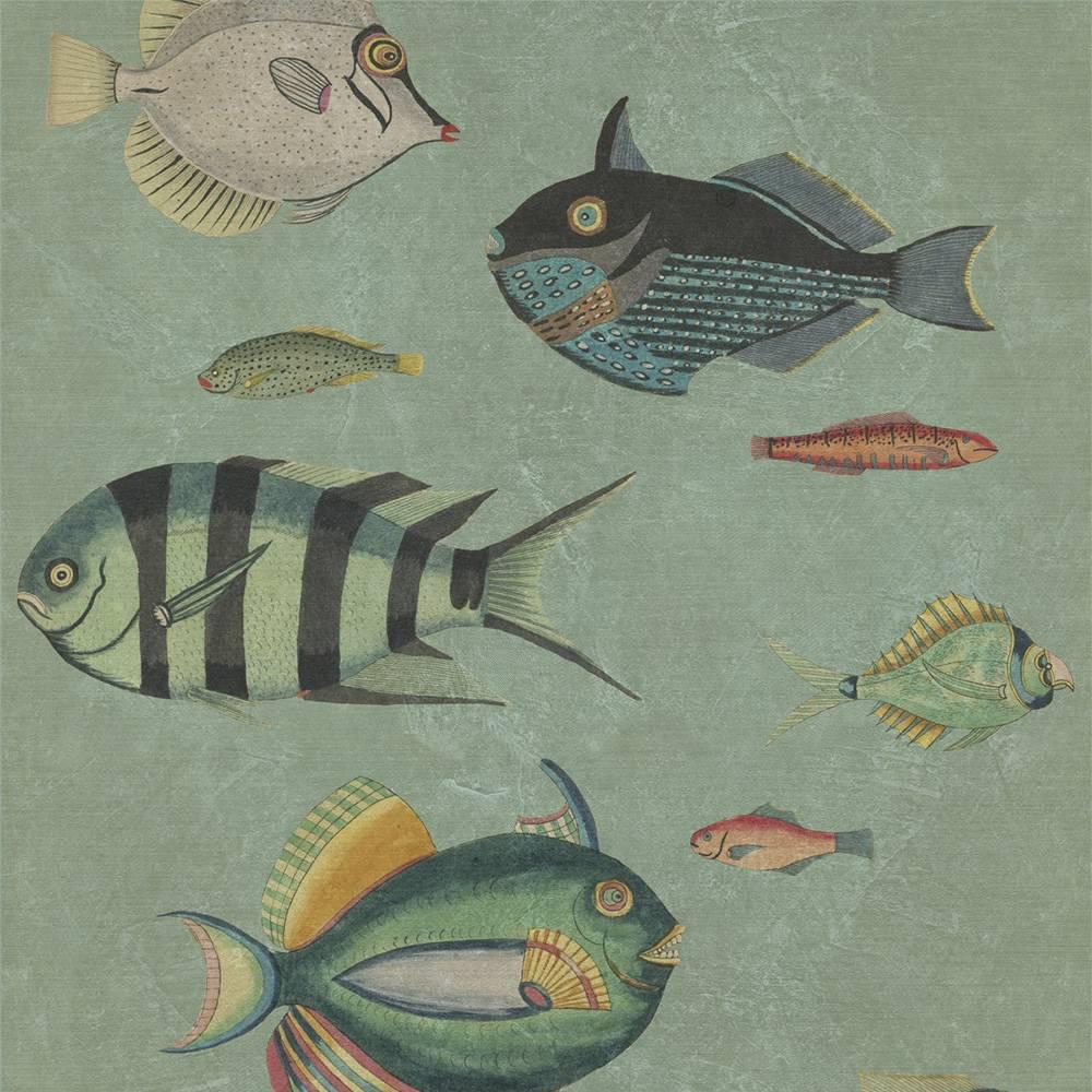 Poissons