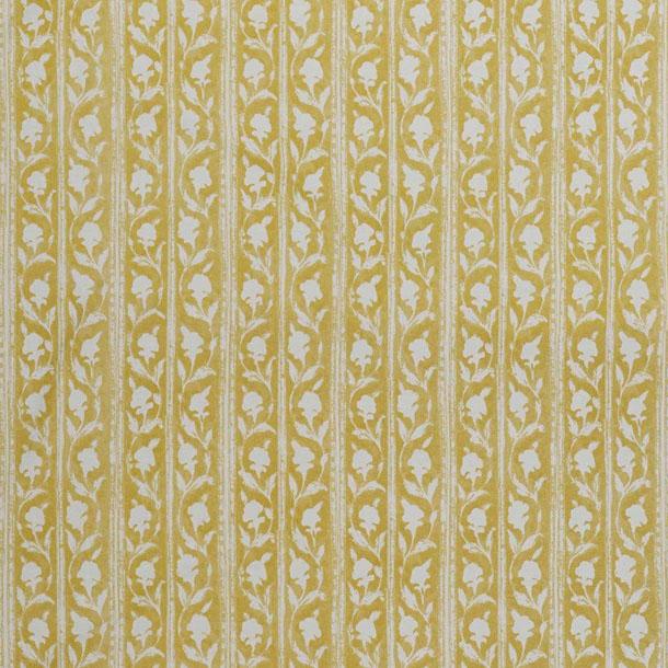 Jasmine Stripe