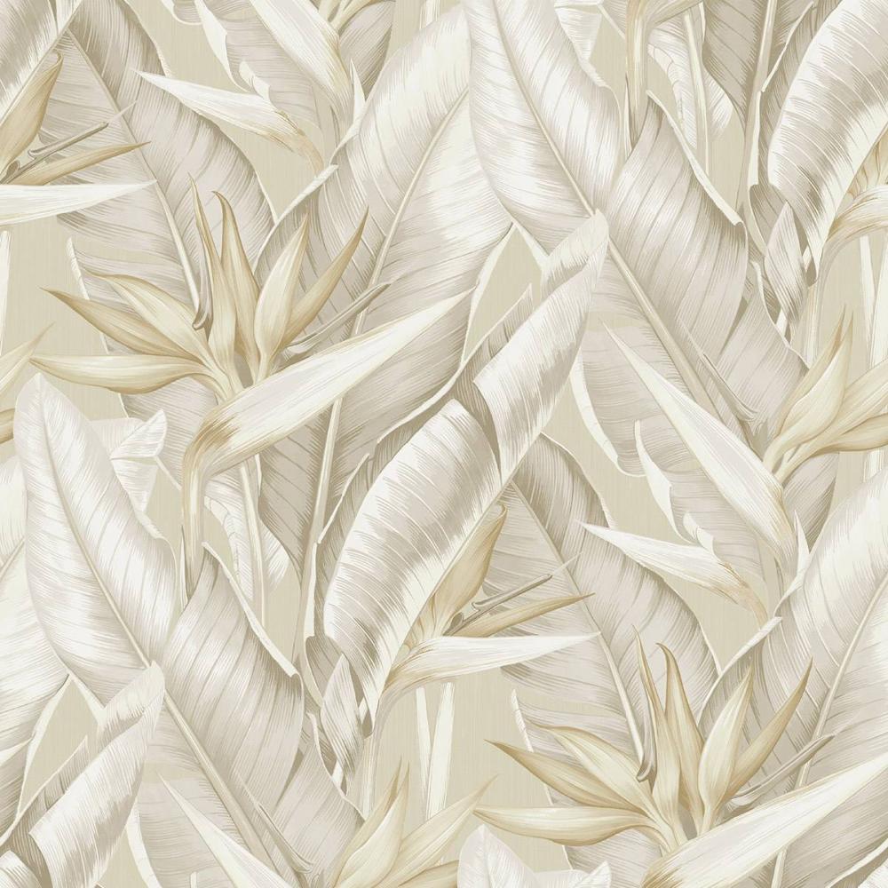 Birds of Paradise