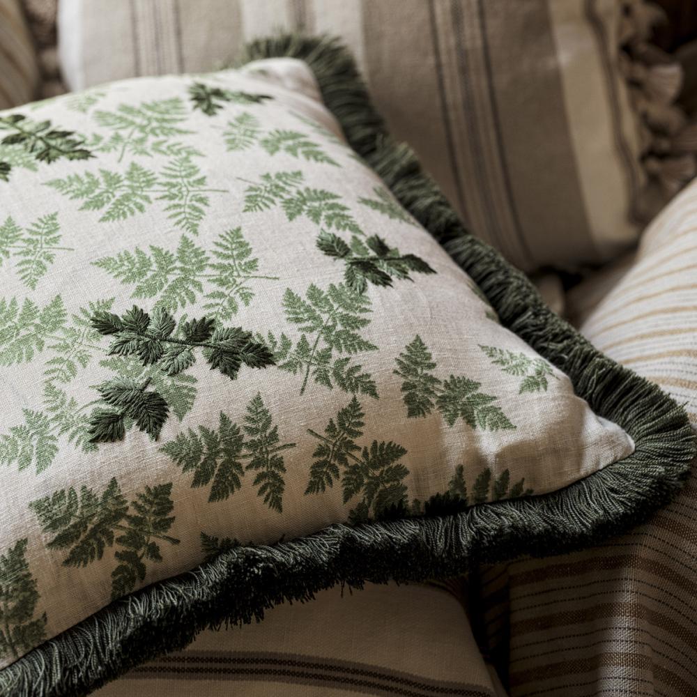 Alice's Fern