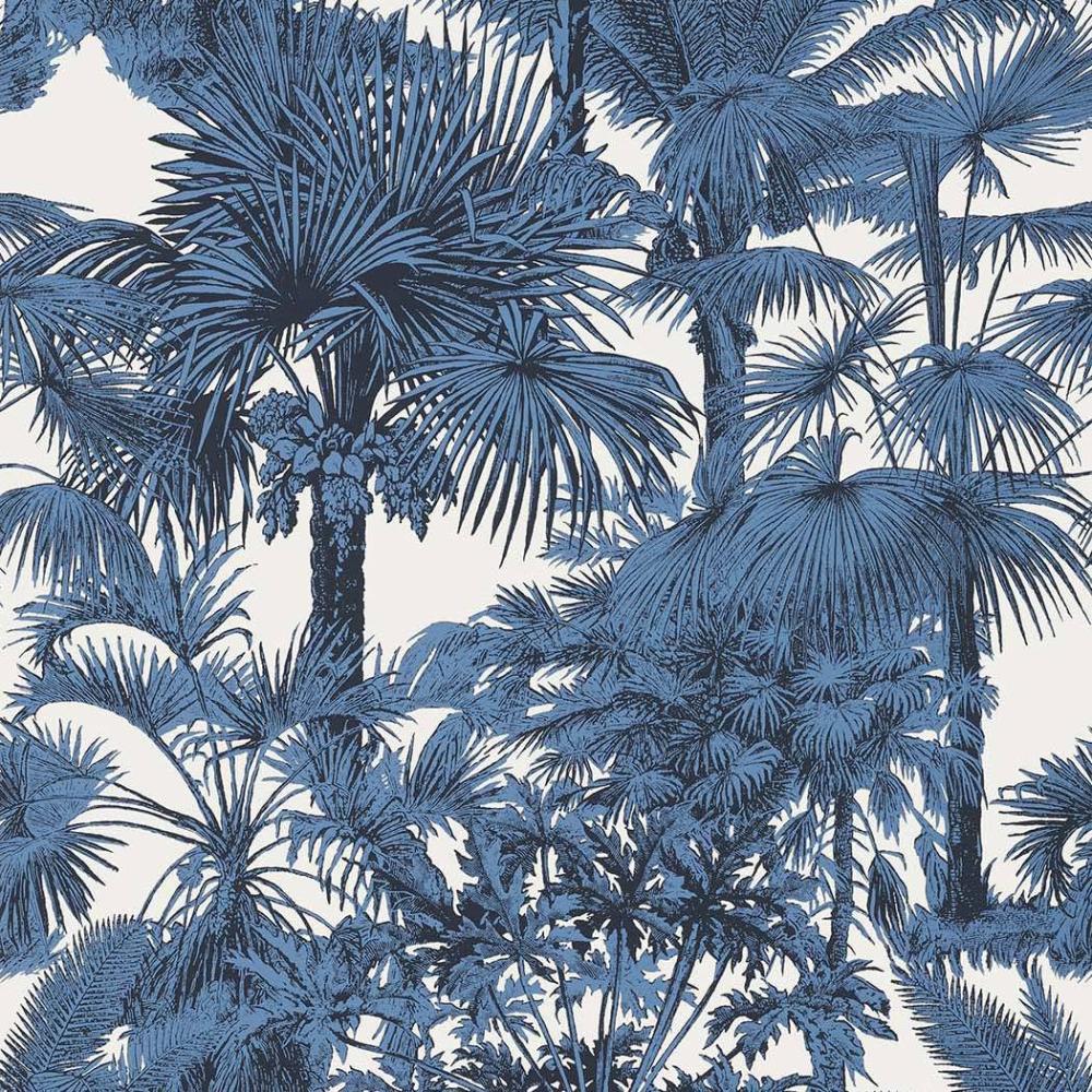 Palm Botanical