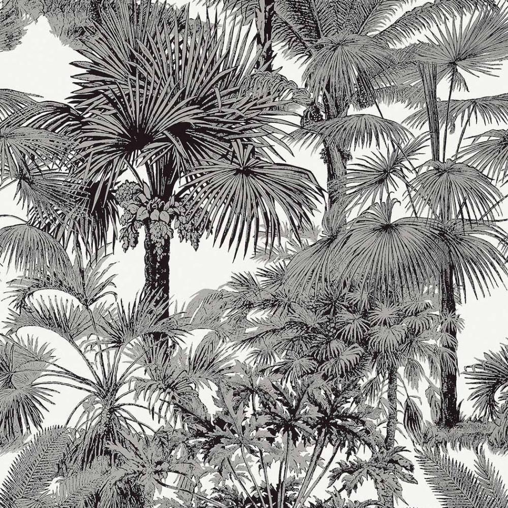 Palm Botanical