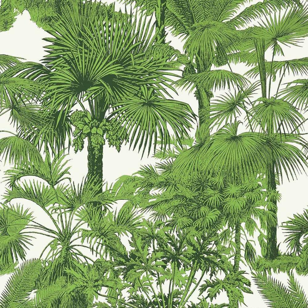 Palm Botanical