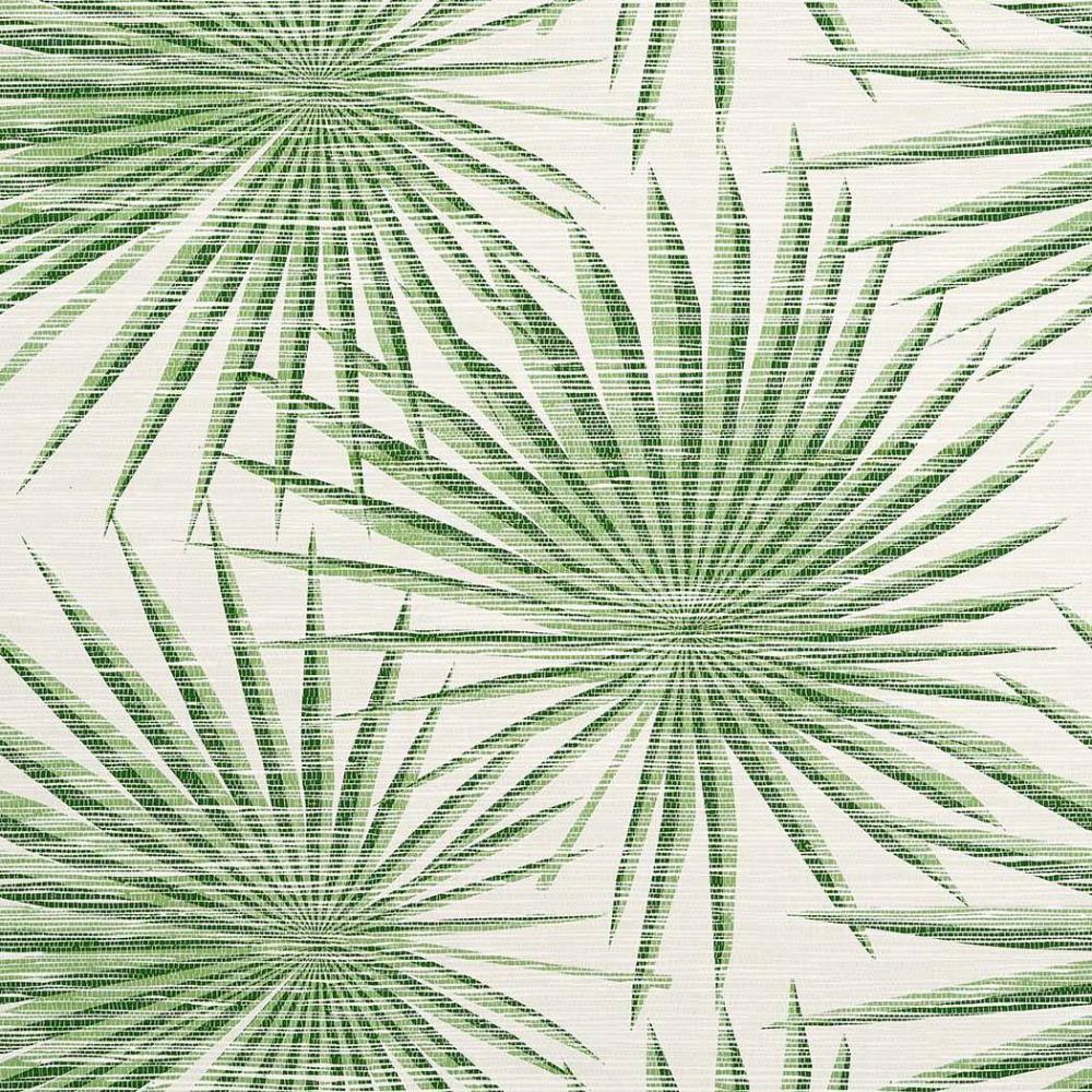 Palm Frond