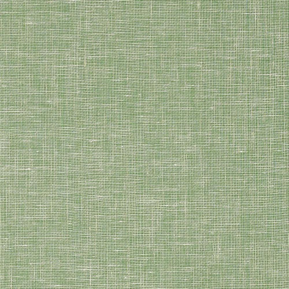 Villa Garden Texture