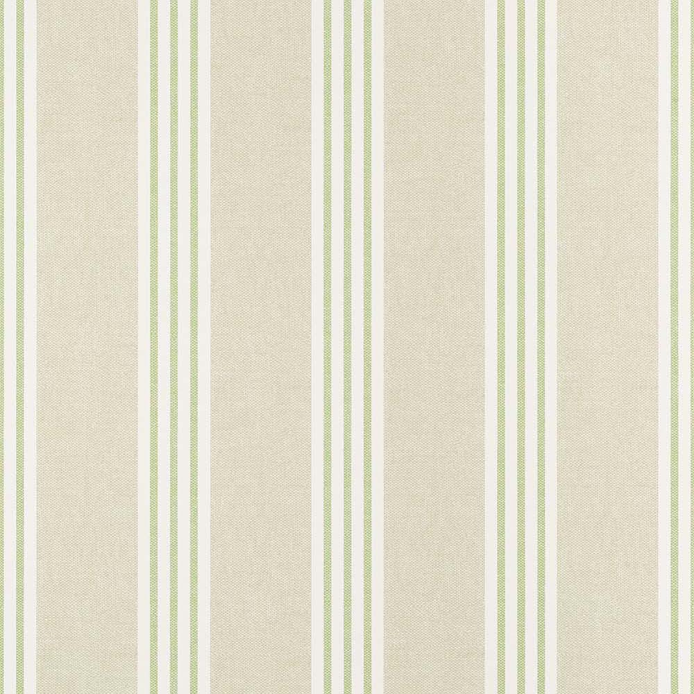 Canvas Stripe