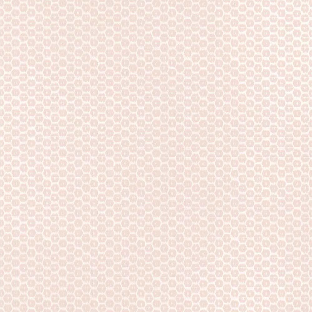 Akari