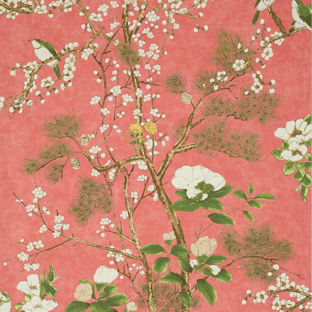 Katsura