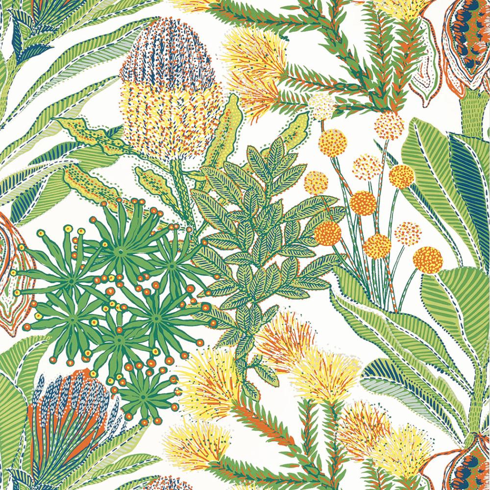 Protea