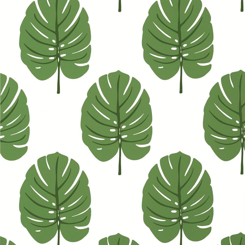 Monstera