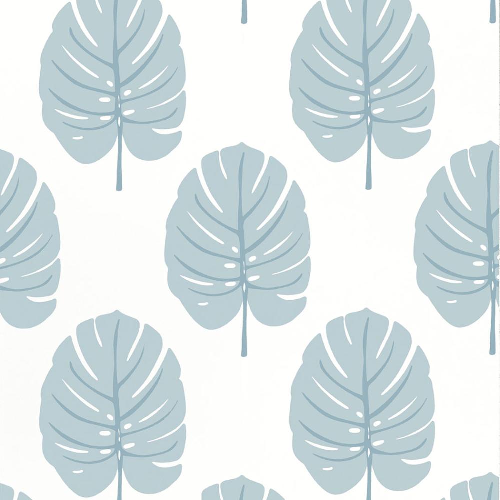 Monstera