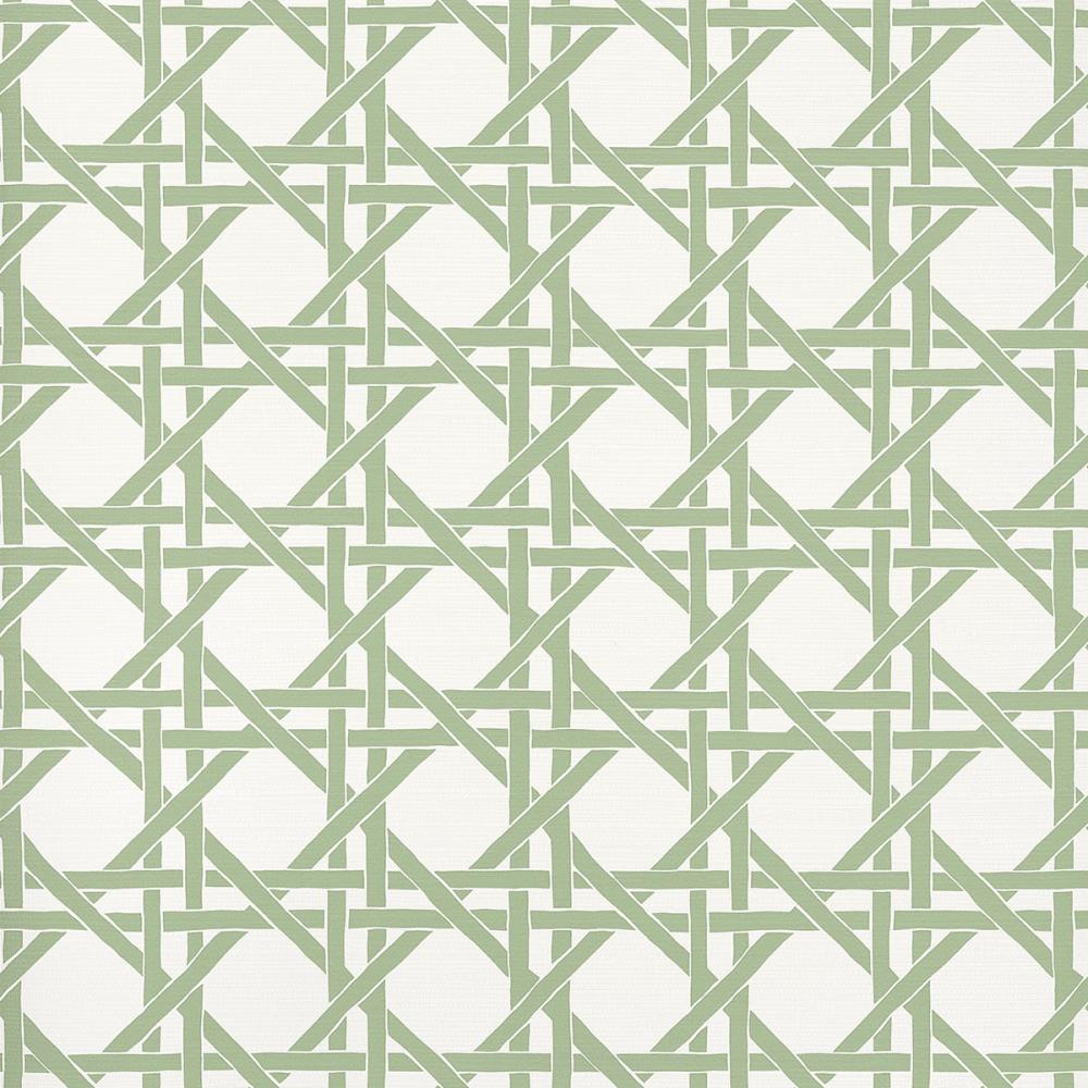 Canary Trellis