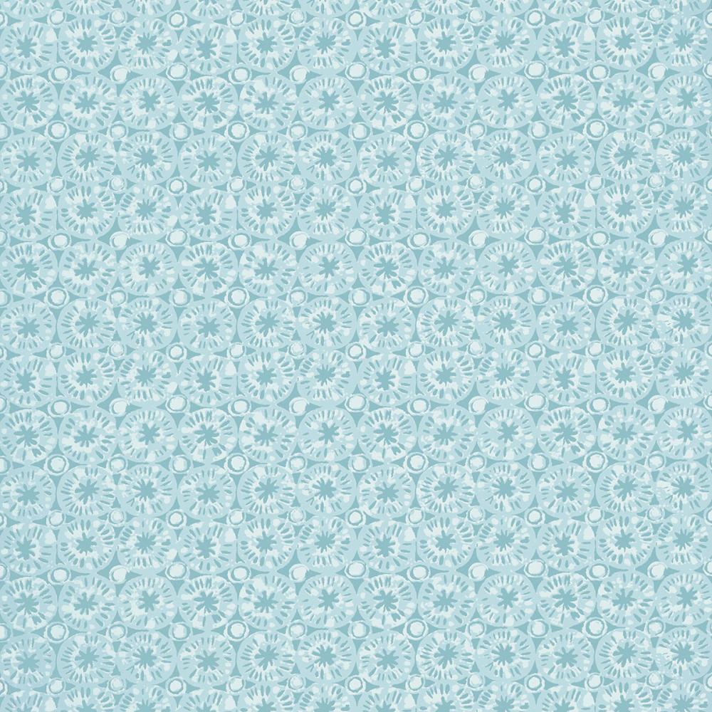 Sand Dollar