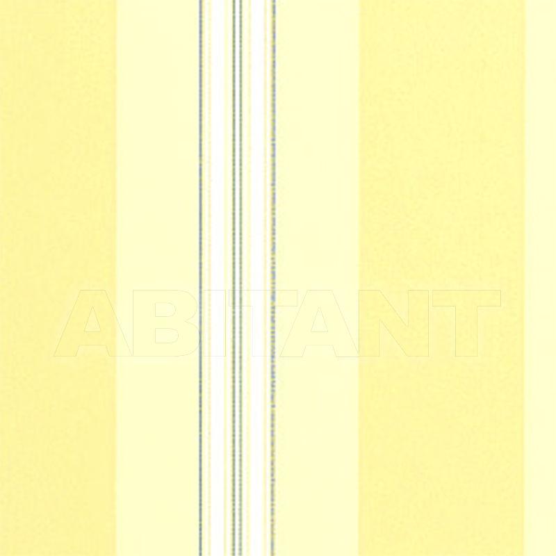 Kensington Stripe