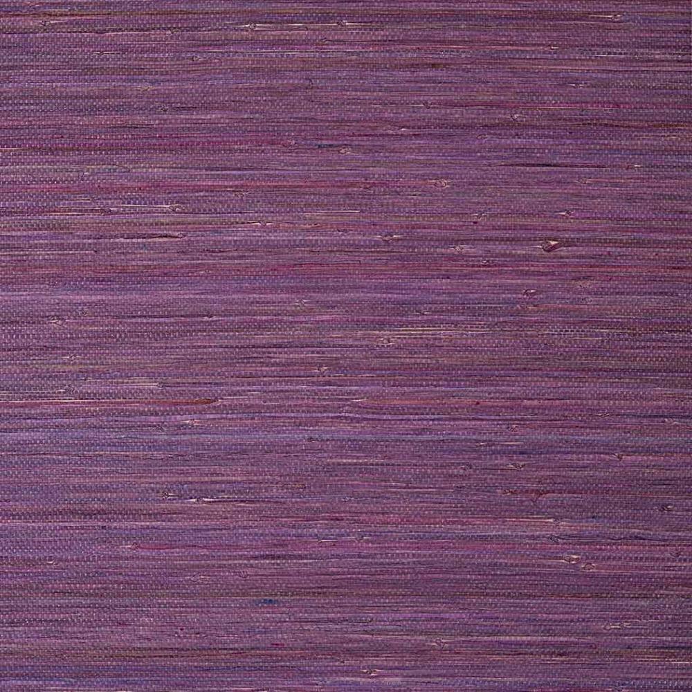 Raffia Palm