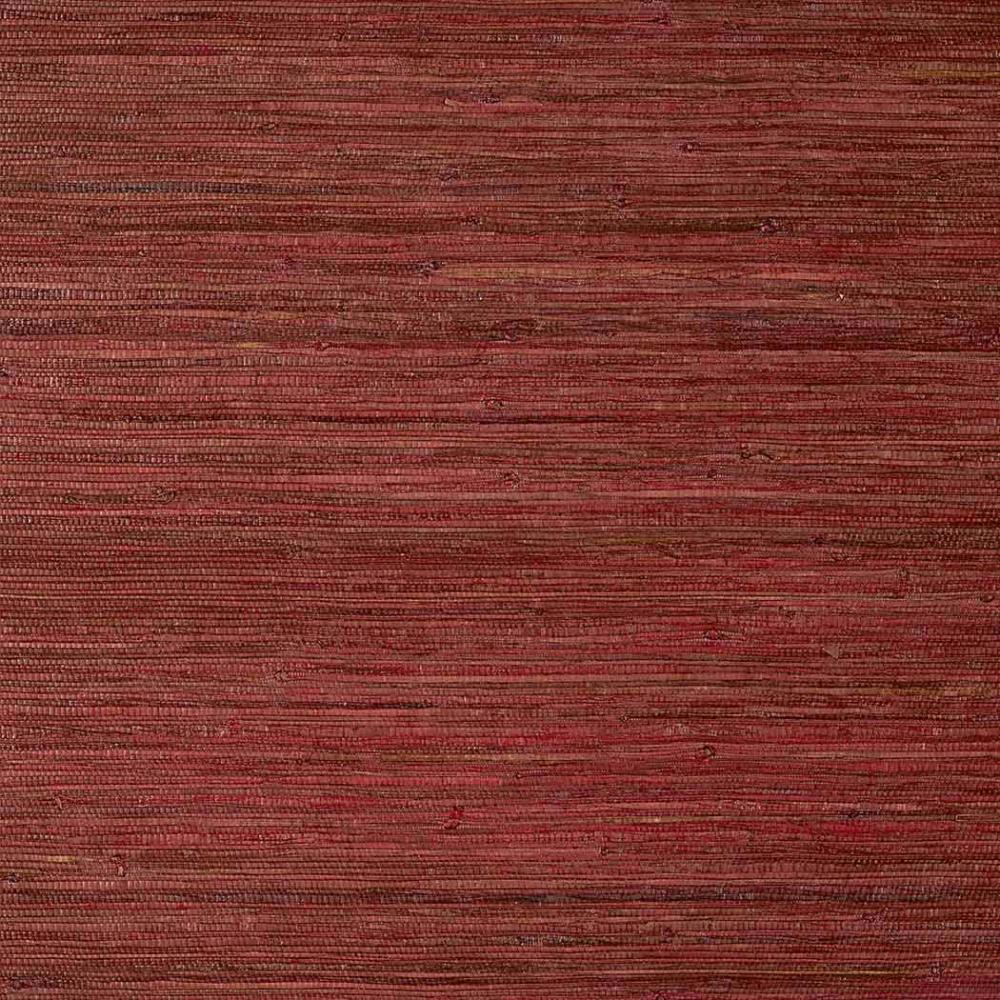 Raffia Palm