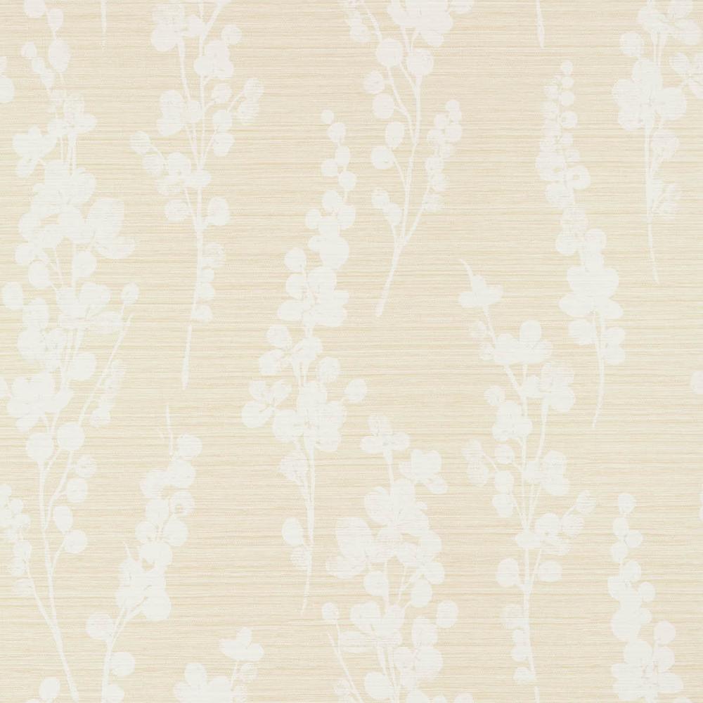Spring Blooms