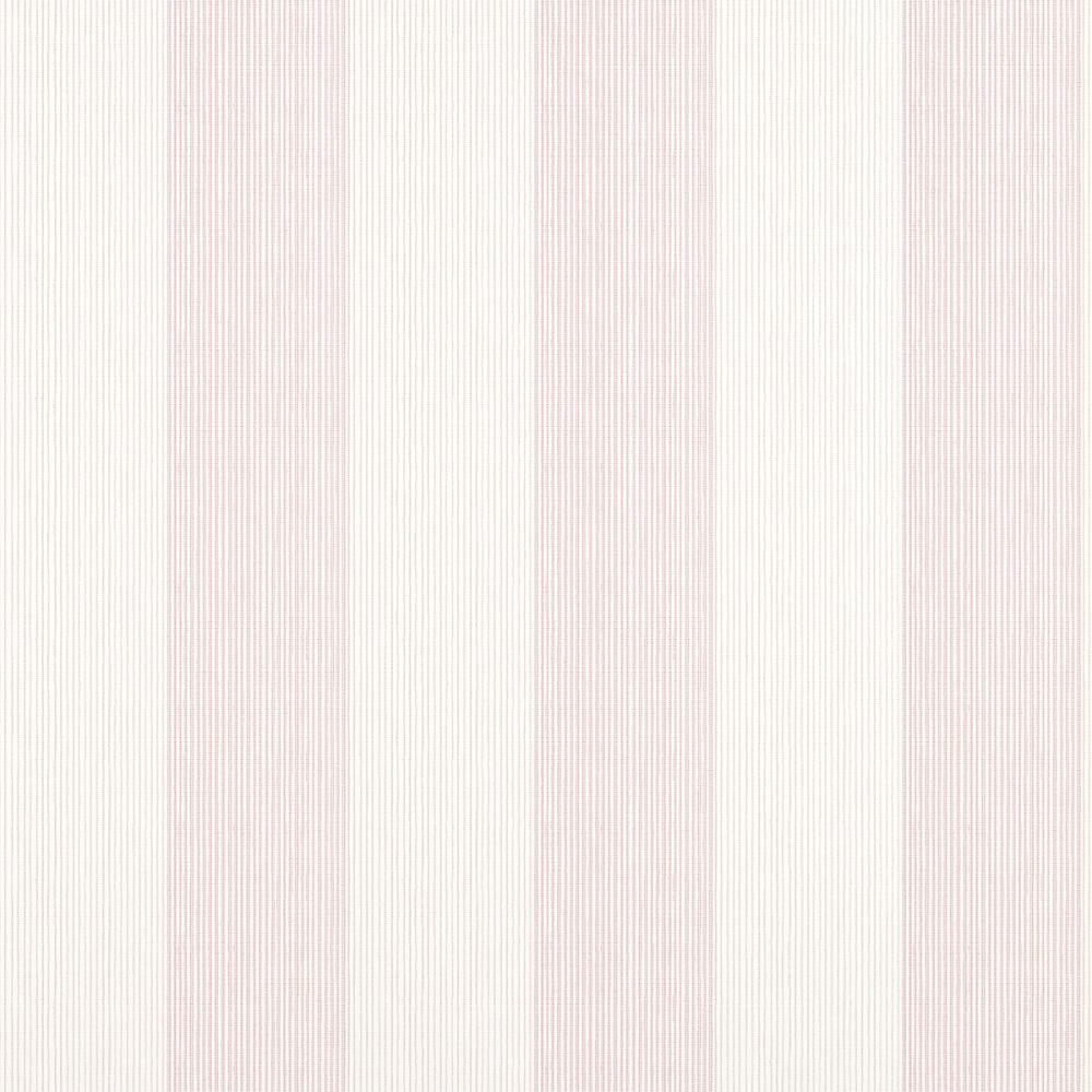 Evan Stripe
