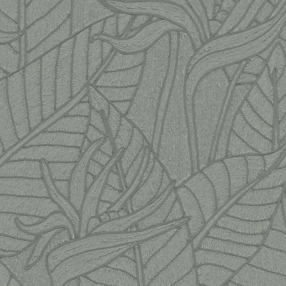 Strelitzia