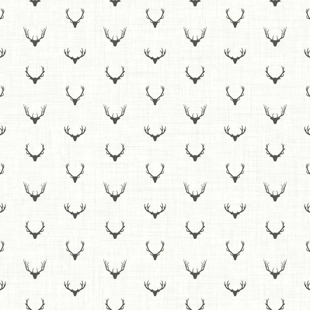 Alaska Antlers