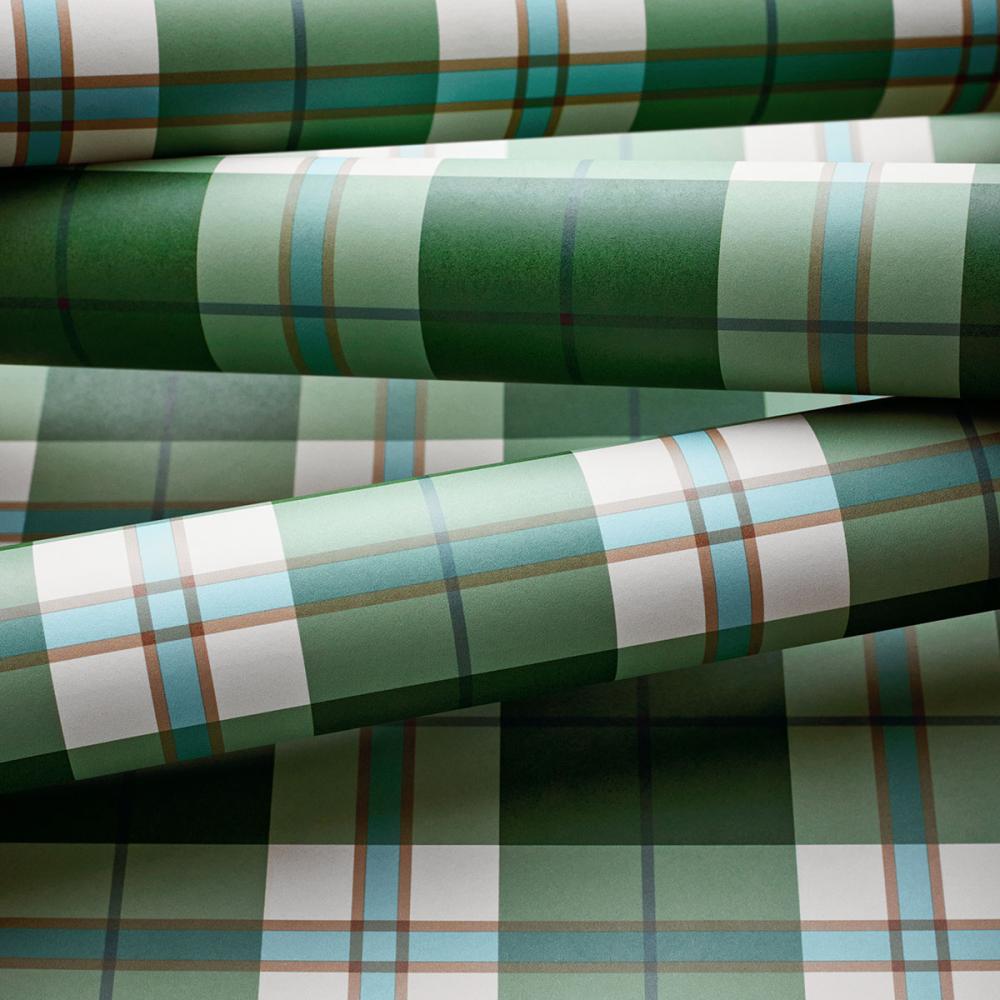 Douglas Plaid