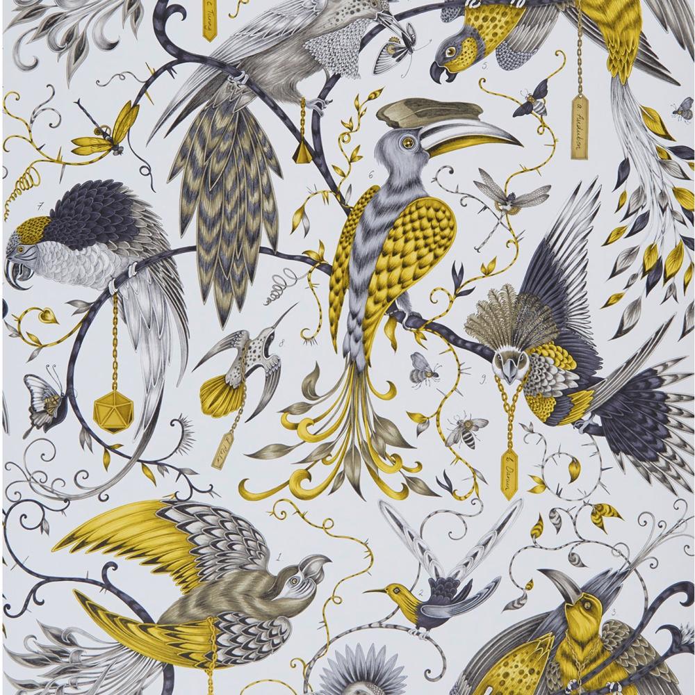 Audubon