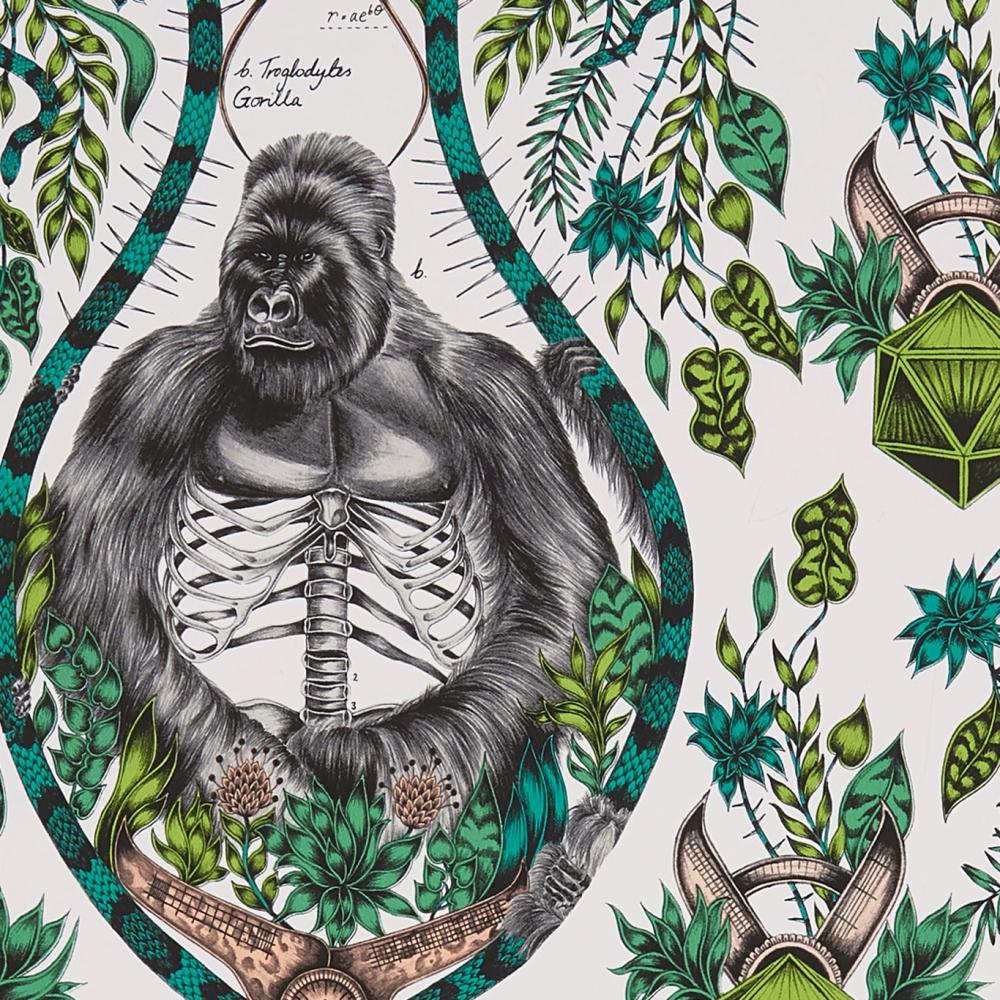 Silverback
