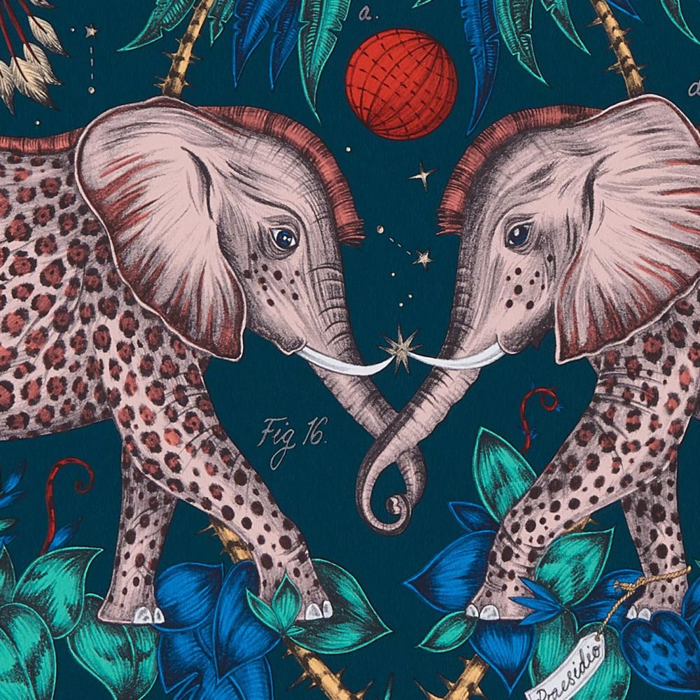 Zambezi