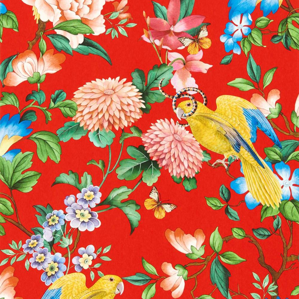 Golden Parrot