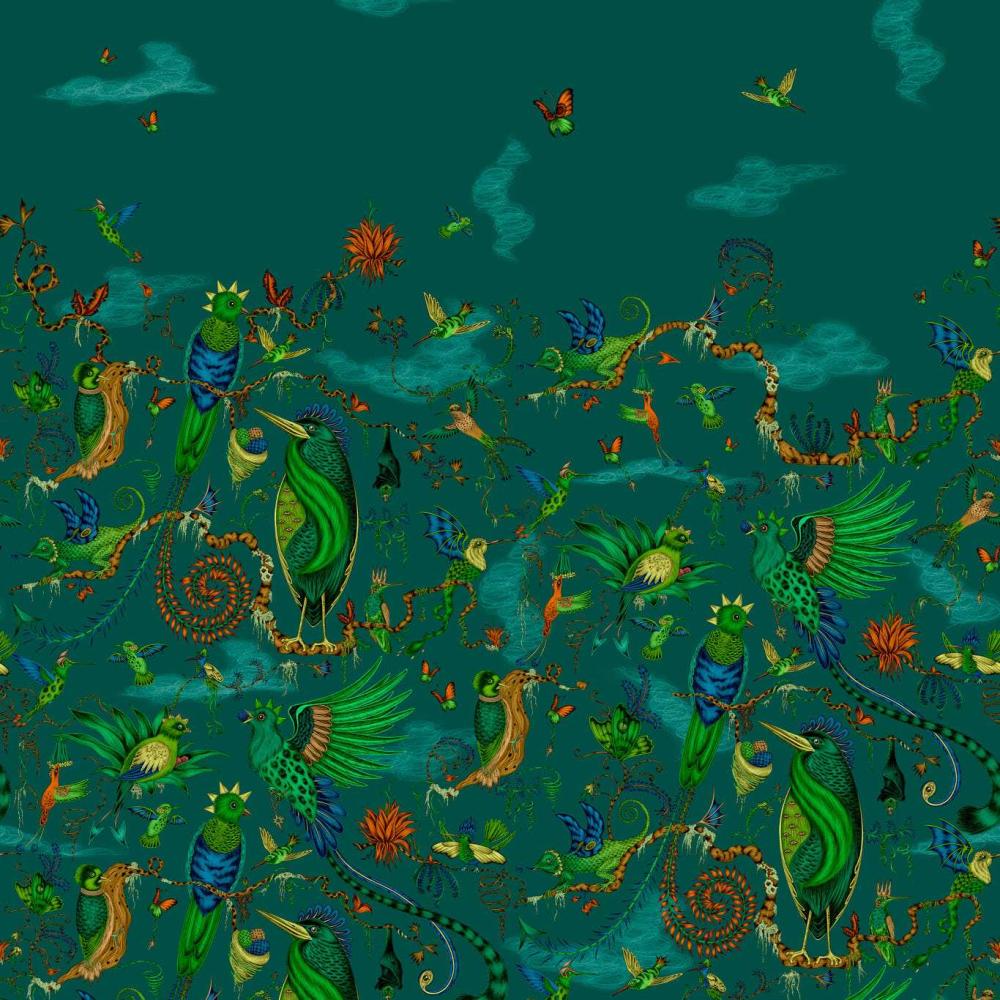 Cloud Forest