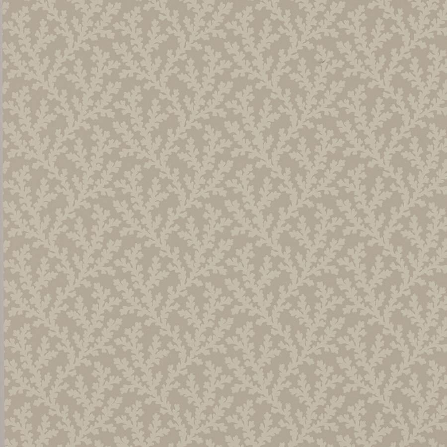 Sea Coral