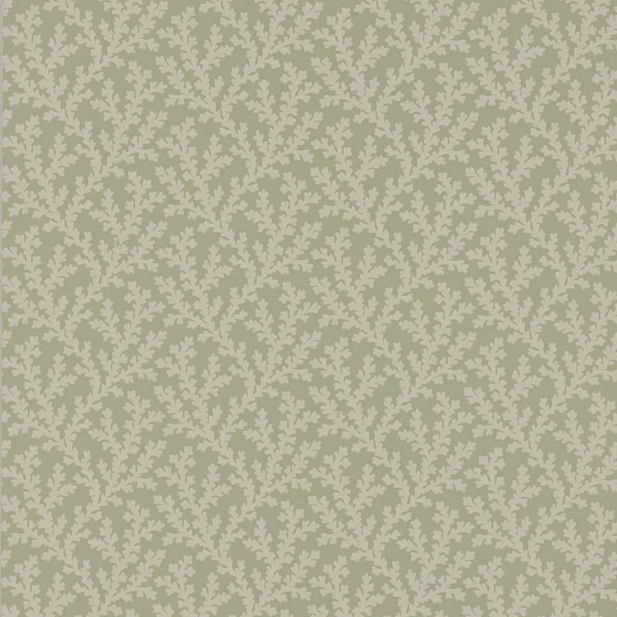 Sea Coral