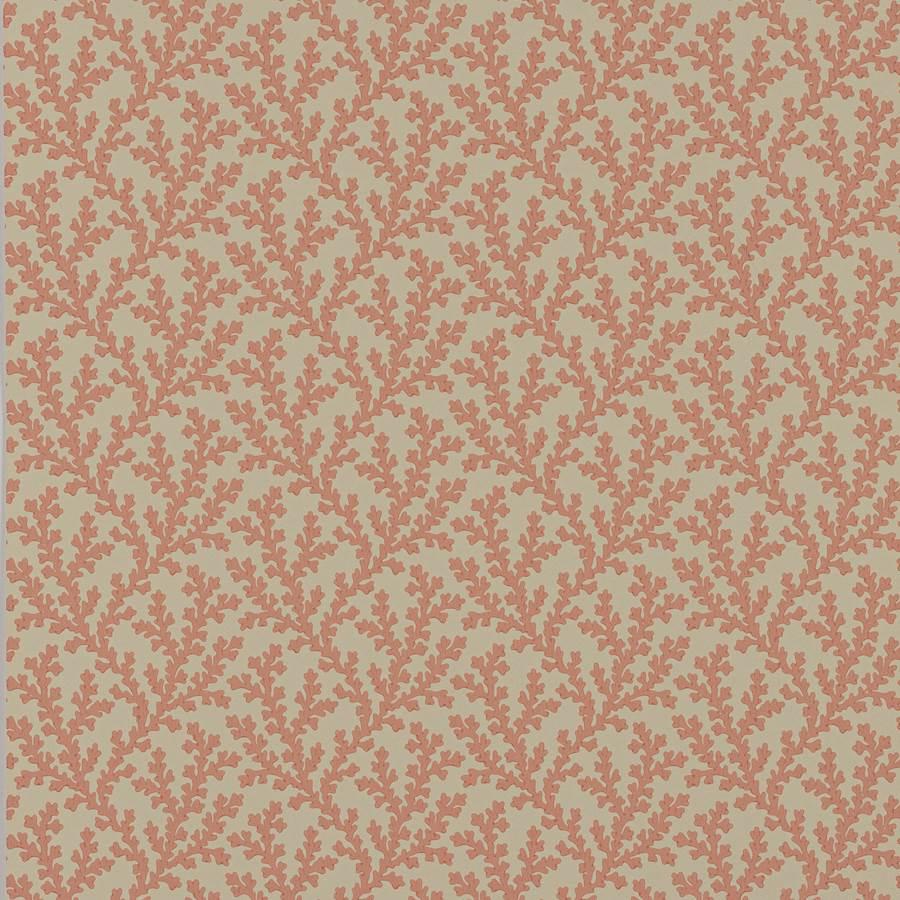 Sea Coral