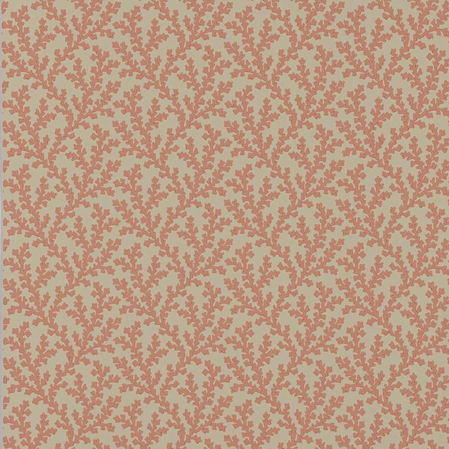 Sea Coral