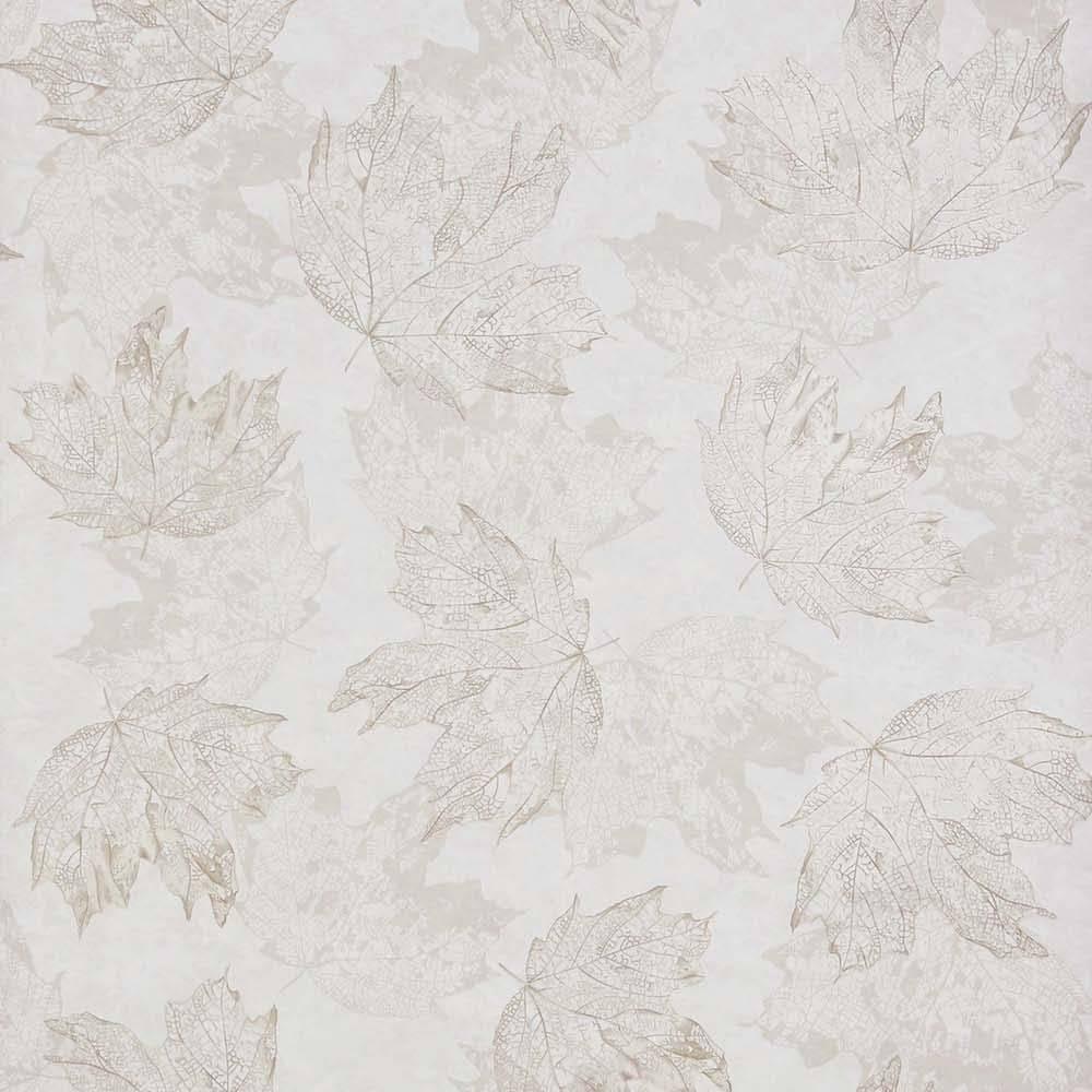 Sycamore