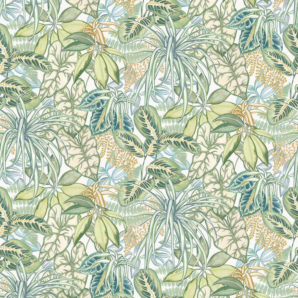 Hothouse