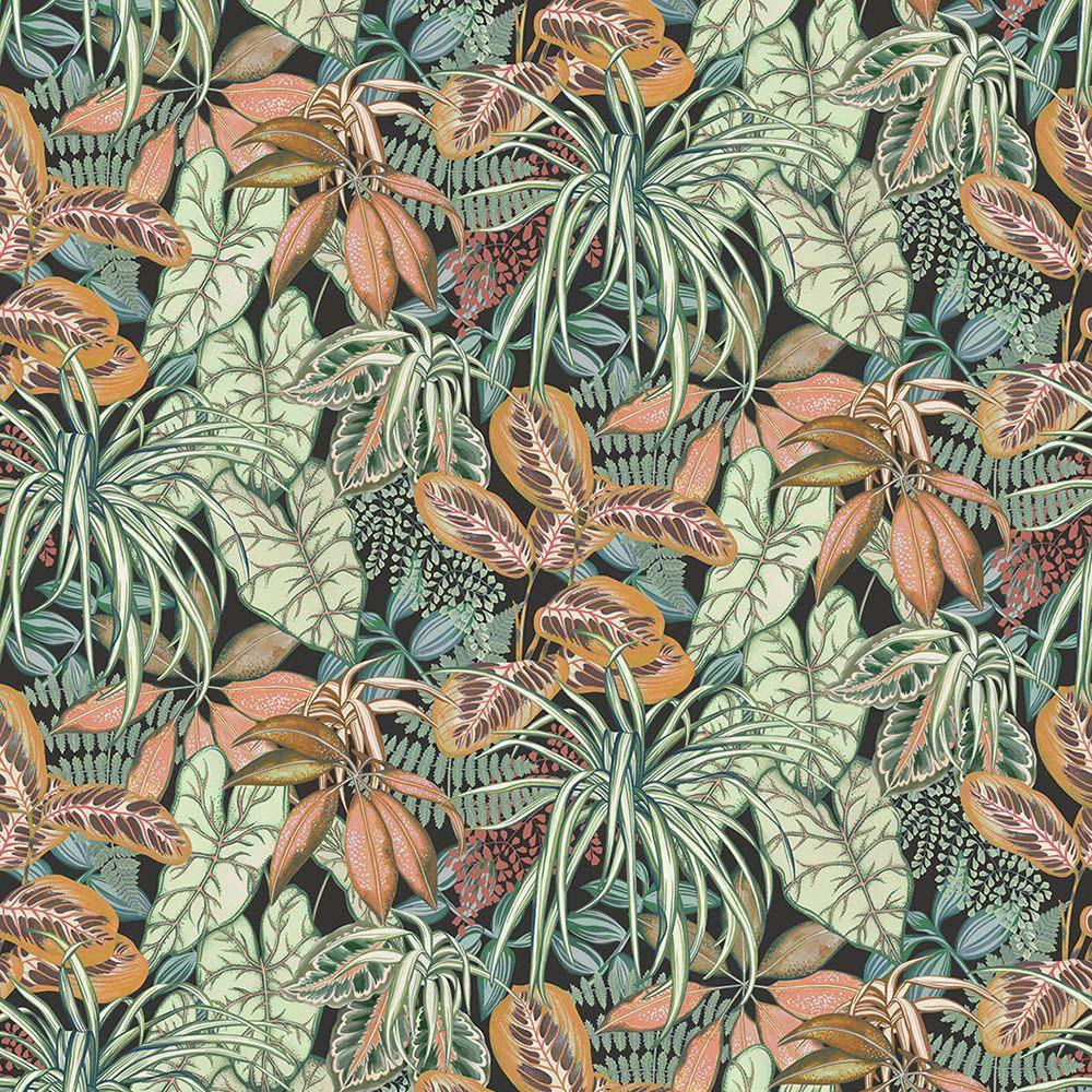 Hothouse