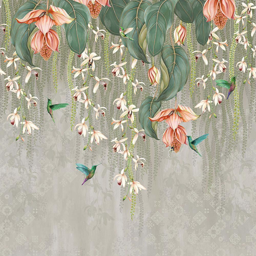 Trailing Orchid