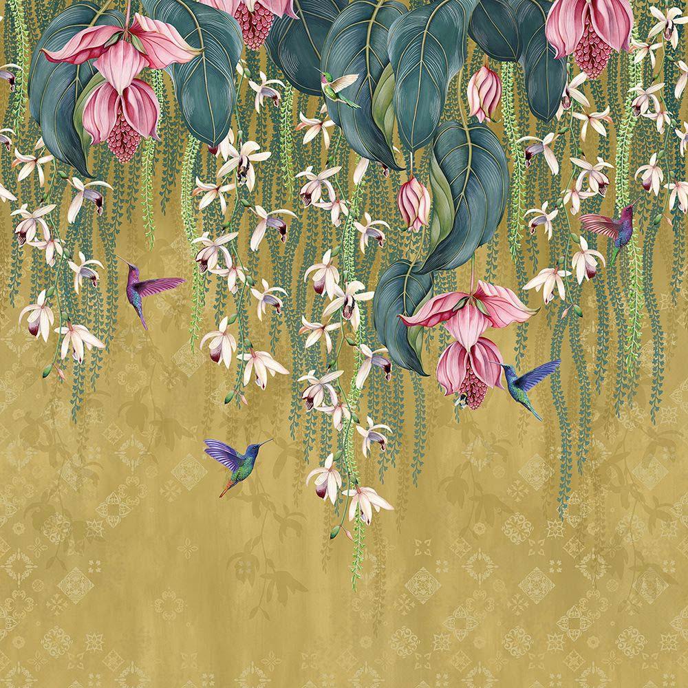 Trailing Orchid