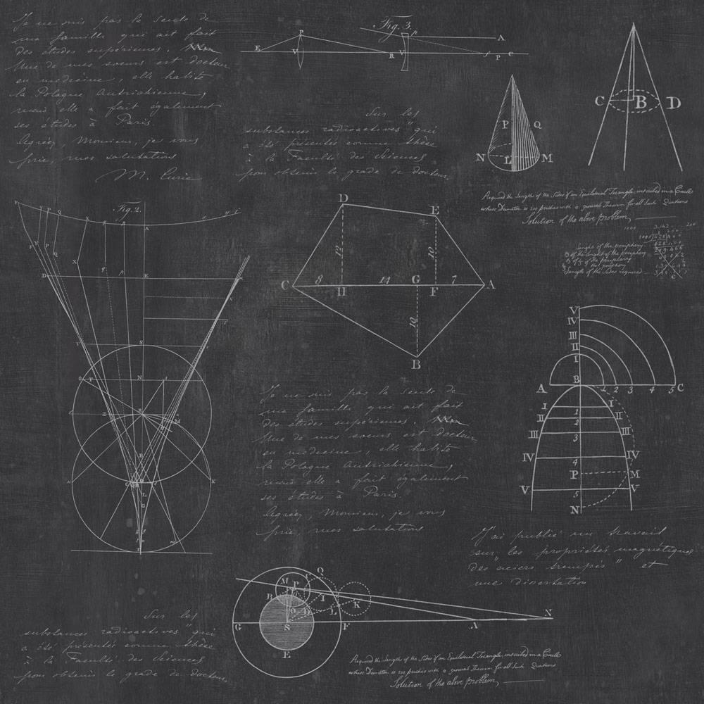 Newton Geometry