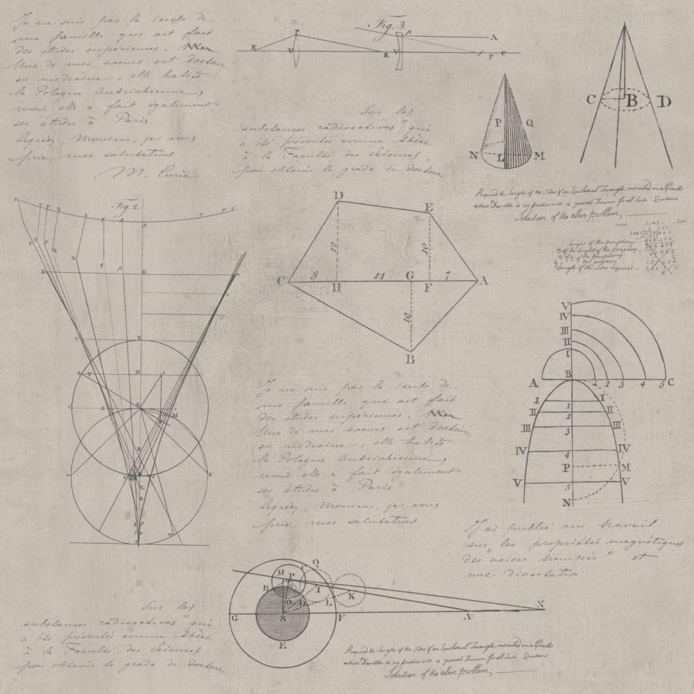 Newton Geometry