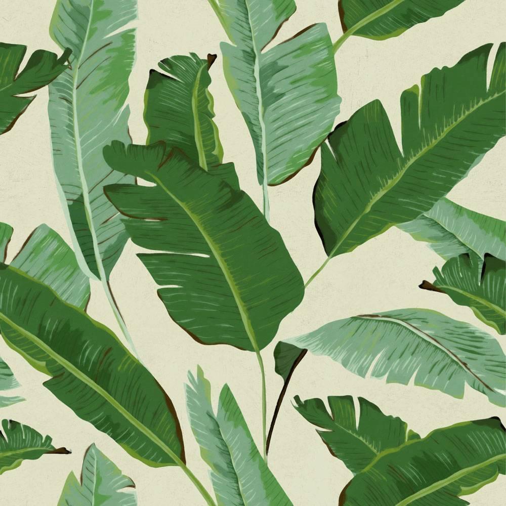 Banana Leaves