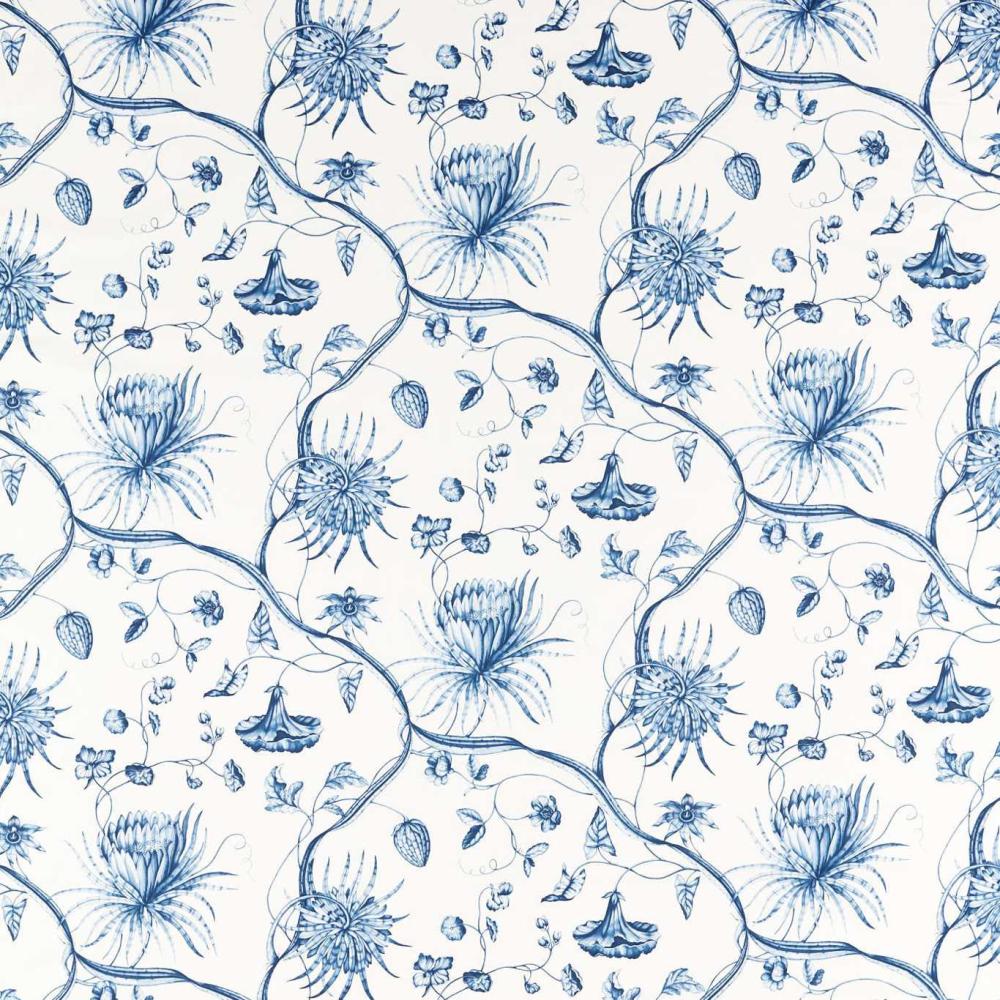 Phaedra Toile