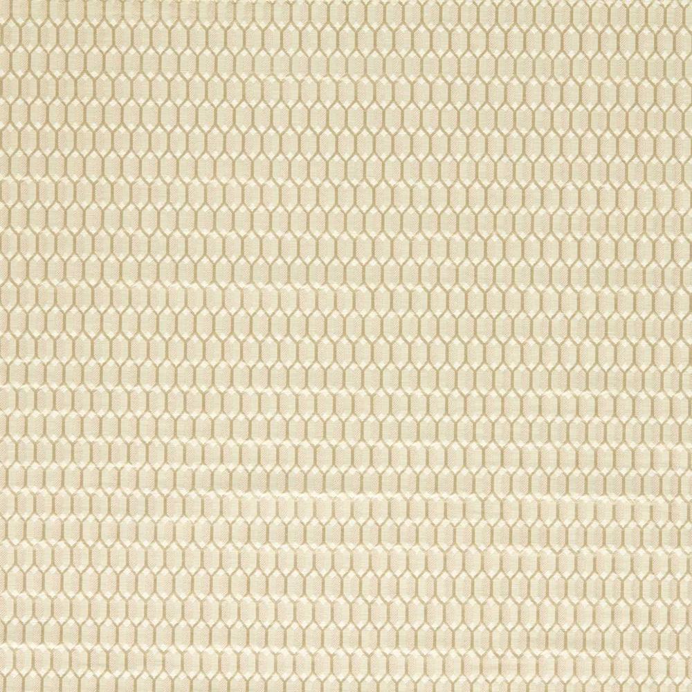 Domino Trellis